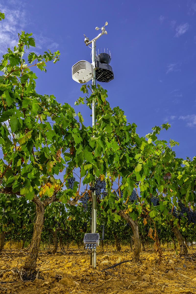 Growers and Agricultural